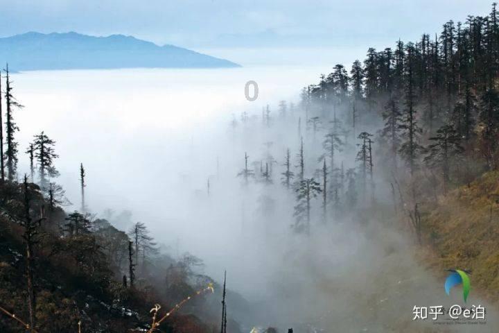 绿色格子吊带裙搭配的高跟鞋，清凉又性感，是你喜欢的穿搭吗?游戏画面